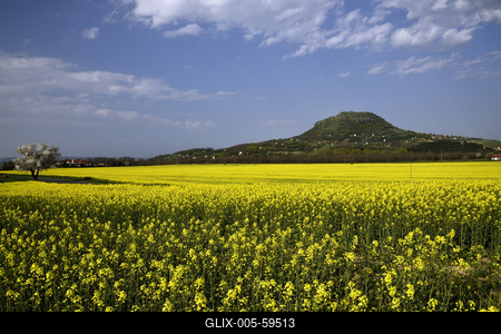 Balaton-felvidék-stock-foto