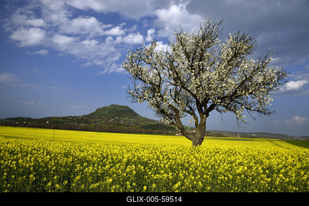 Balaton-felvidék-stock-foto