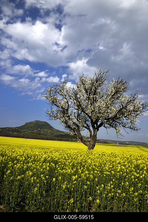 Balaton-felvidék-stock-foto