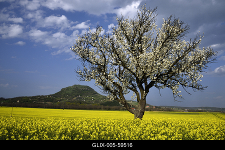 Balaton-felvidék-stock-foto