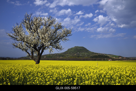 Balaton-felvidék-stock-foto
