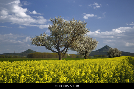 Balaton-felvidék-stock-foto