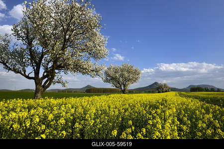 Balaton-felvidék-stock-foto