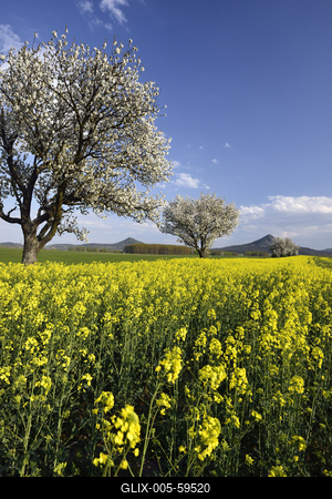 Balaton-felvidék-stock-foto