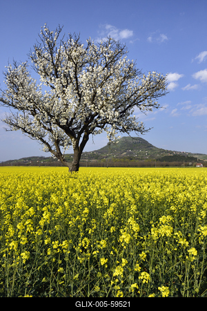 Balaton-felvidék-stock-foto