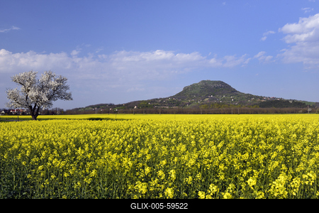 Balaton-felvidék-stock-foto