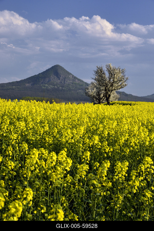 Balaton-felvidék-stock-foto