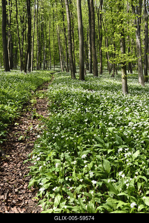 Bakonybél-stock-foto