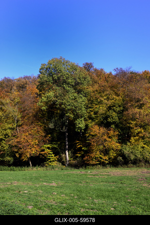 Bakonybél-stock-foto