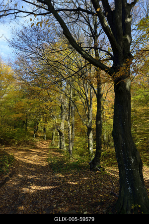 Bakonybél-stock-foto