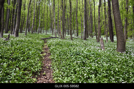 Bakonybél-stock-foto