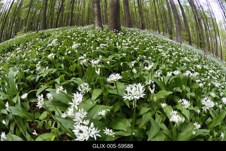 Bakonybél-stock-foto