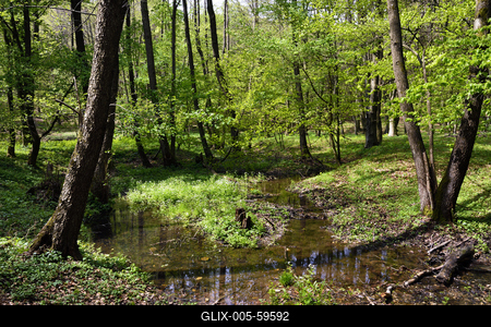 Bakonybél-stock-foto