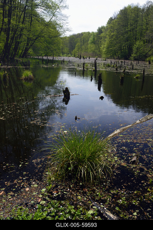 Bakonybél-stock-foto