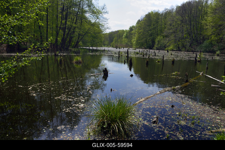Bakonybél-stock-foto