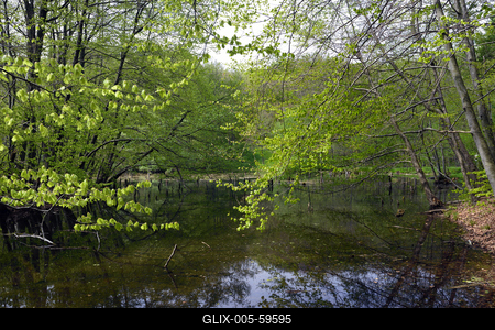 Bakonybél-stock-foto