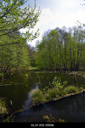 Bakonybél-stock-foto