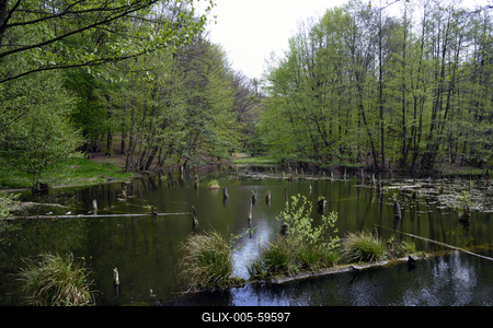Bakonybél-stock-foto