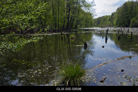 Bakonybél-stock-foto