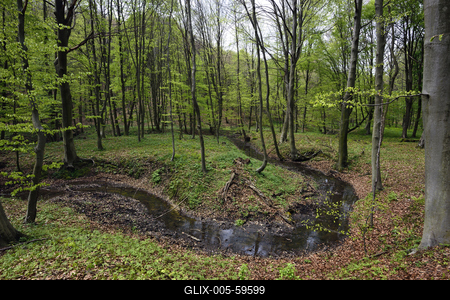 Bakonybél-stock-foto