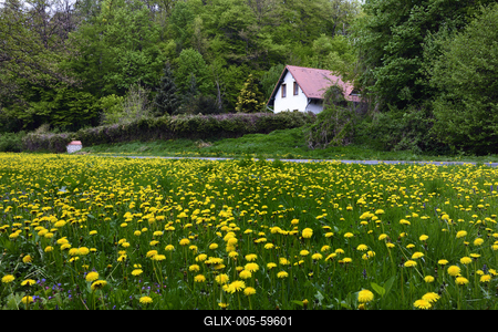 Bakonybél-stock-foto