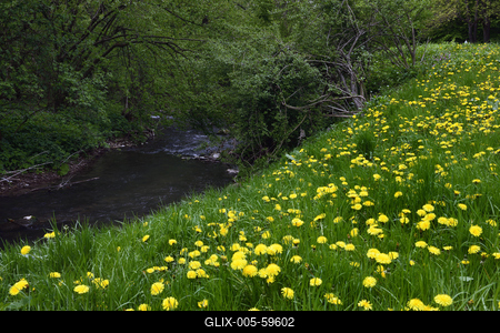 Bakonybél-stock-foto