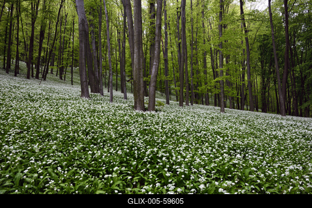 Bakonybél-stock-foto