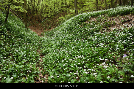 Bakonybél-stock-foto
