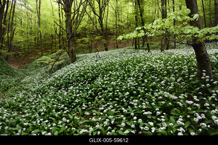 Bakonybél-stock-foto