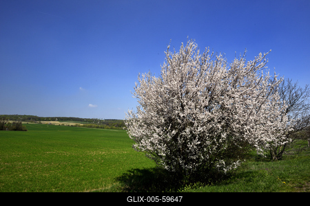Bakonybél-stock-foto
