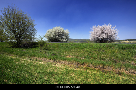 Bakonybél-stock-foto