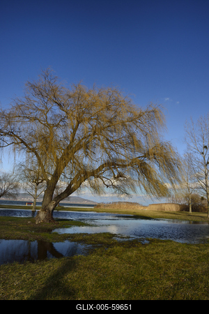 Balatonberény-stock-foto