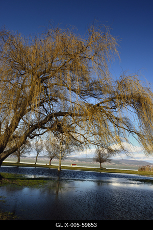 Balatonberény-stock-foto