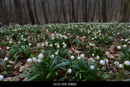 Bakonybél-stock-foto