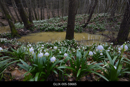 Bakonybél-stock-foto