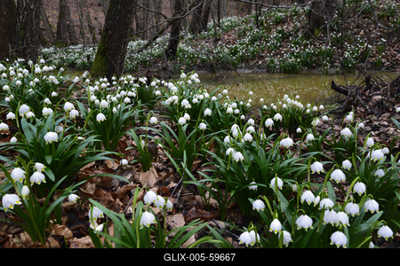 Bakonybél-stock-foto