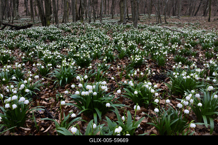Bakonybél-stock-foto