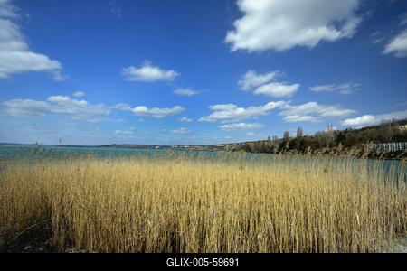 Balatonaliga-stock-foto