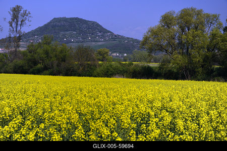 Balaton-felvidék-stock-foto