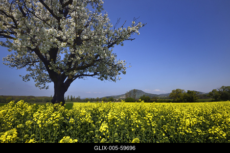 Balaton-felvidék-stock-foto