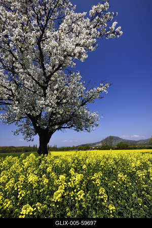 Balaton-felvidék-stock-foto