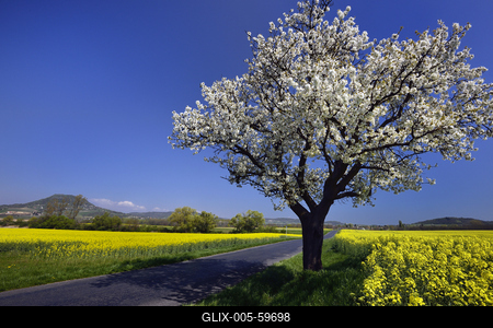 Balaton-felvidék-stock-foto
