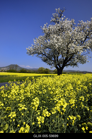 Balaton-felvidék-stock-foto