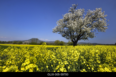 Balaton-felvidék-stock-foto