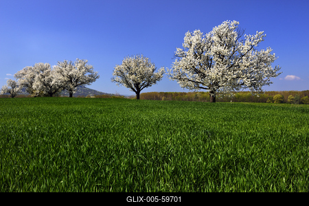 Balaton-felvidék-stock-foto