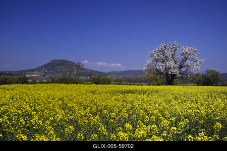 Balaton-felvidék-stock-foto