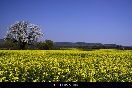 Balaton-felvidék-stock-foto