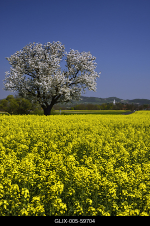 Balaton-felvidék-stock-foto