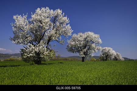 Balaton-felvidék-stock-foto