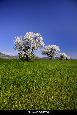 Balaton-felvidék-stock-foto